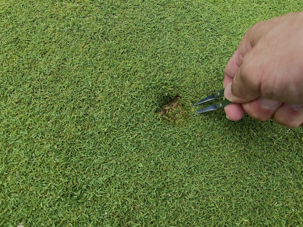 ゴルフ人気復活の裏で広がるマナー問題について思うこと